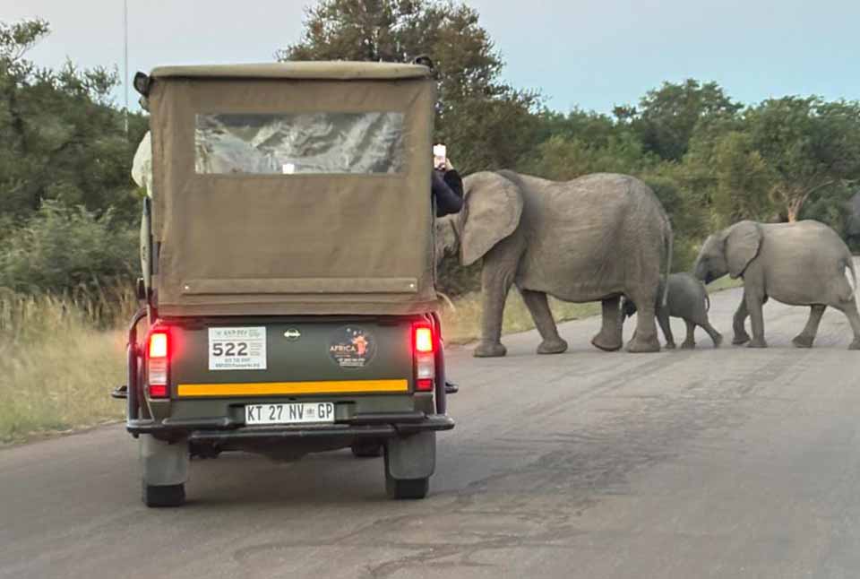 Kruger_Safaris_Camp_Site_Inn_Africa_Safaris_Safari_33-IMG-20250603-WA0010