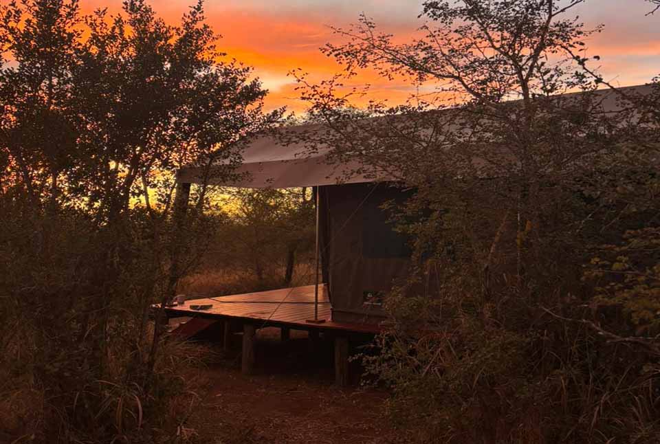 Safari Camp Site Hire EXTRA PERSON - Image 4