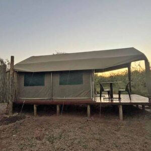 Kruger_Park_Tented_Safari_Inn_Africa_Safari-6